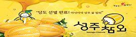630성주군